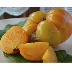 Насіння томату Лимонний Гігант Агроном фото