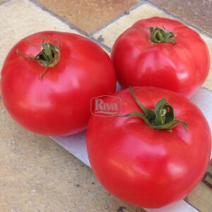 Насіння томату Малиновий Генріка Агроном фото