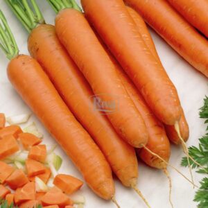 Морква Без серцевини Агроном
