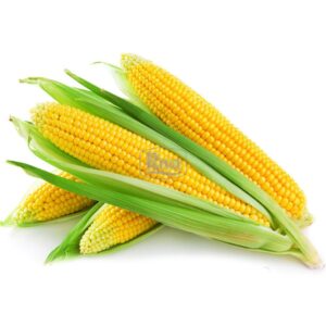 Столова кукурудза Ароматна Агроном фото