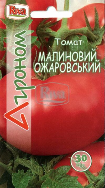 Насіння томату Малиновий Ожаровський Агроном фото