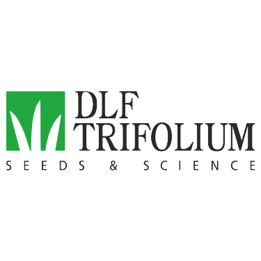 DLF Trifolium газонна трава Garden Club