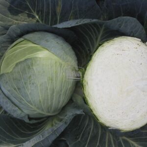 Капуста Центуріон Clause Tezier