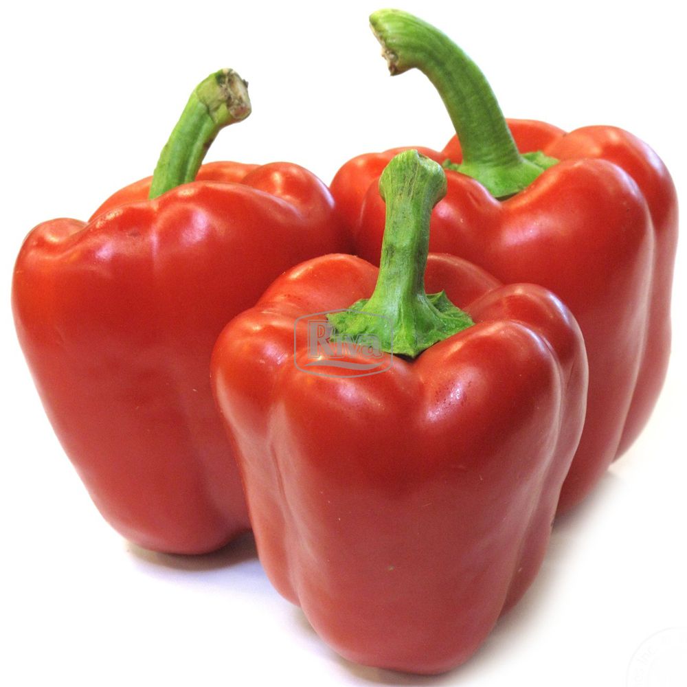 клаудіо перець Насіння Перцю Клаудіо