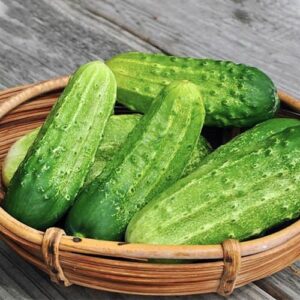 Огірок Надія Seminis