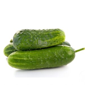 Насіння огірка Октупус Syngenta