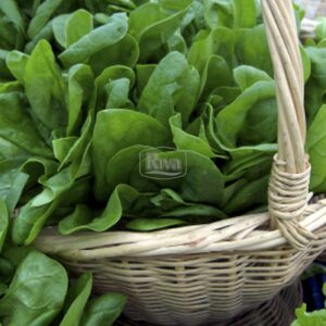 Насіння шпинату Боа