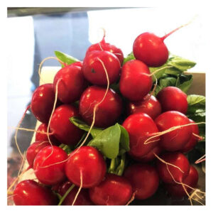 Редиска Віенна Enza Zaden